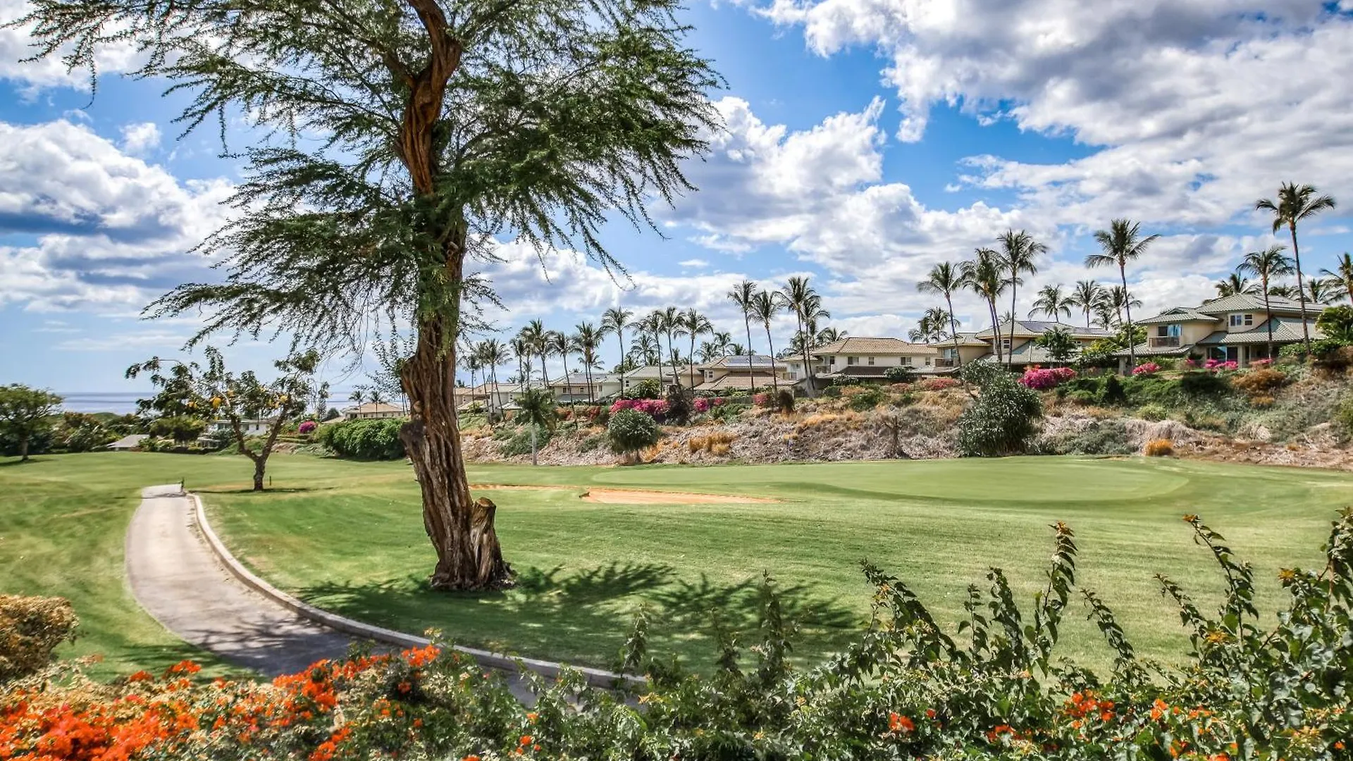 Wailea Grand Champions