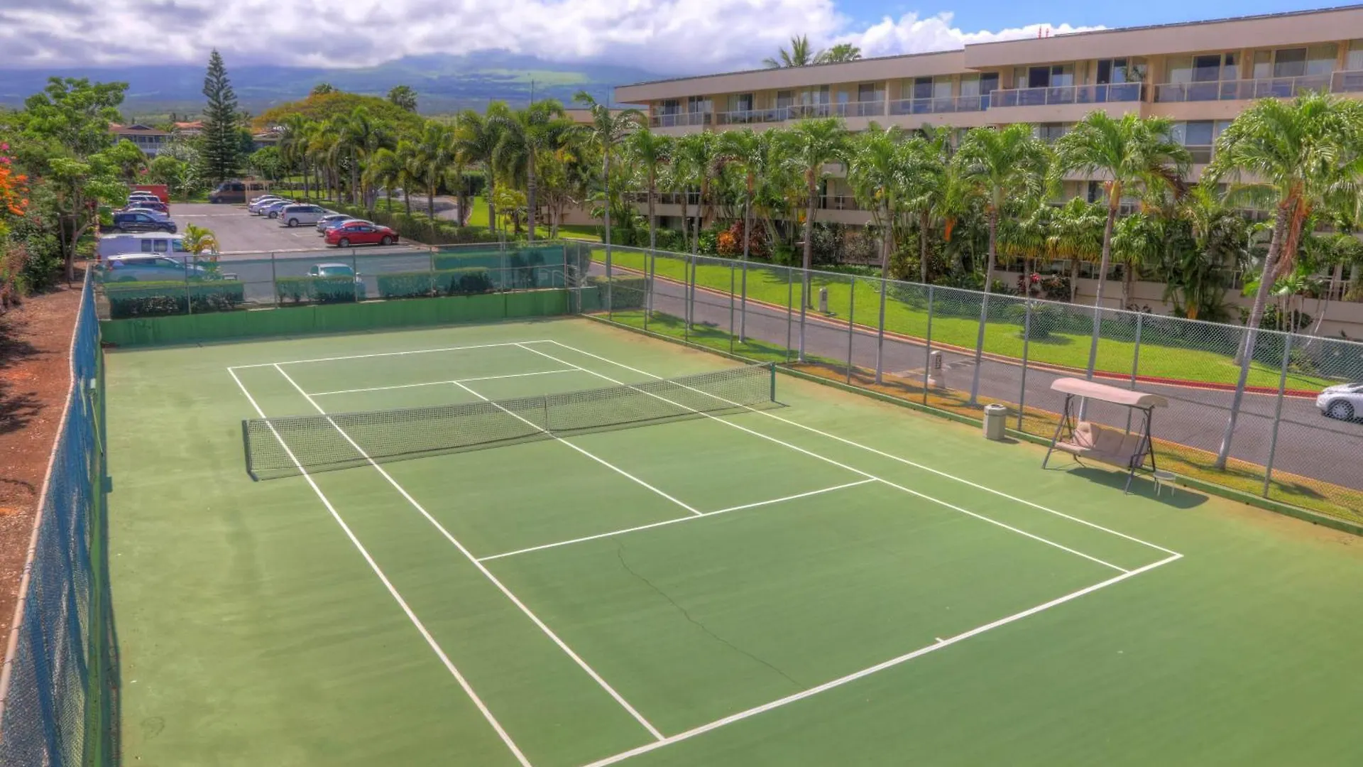 Maui Banyan