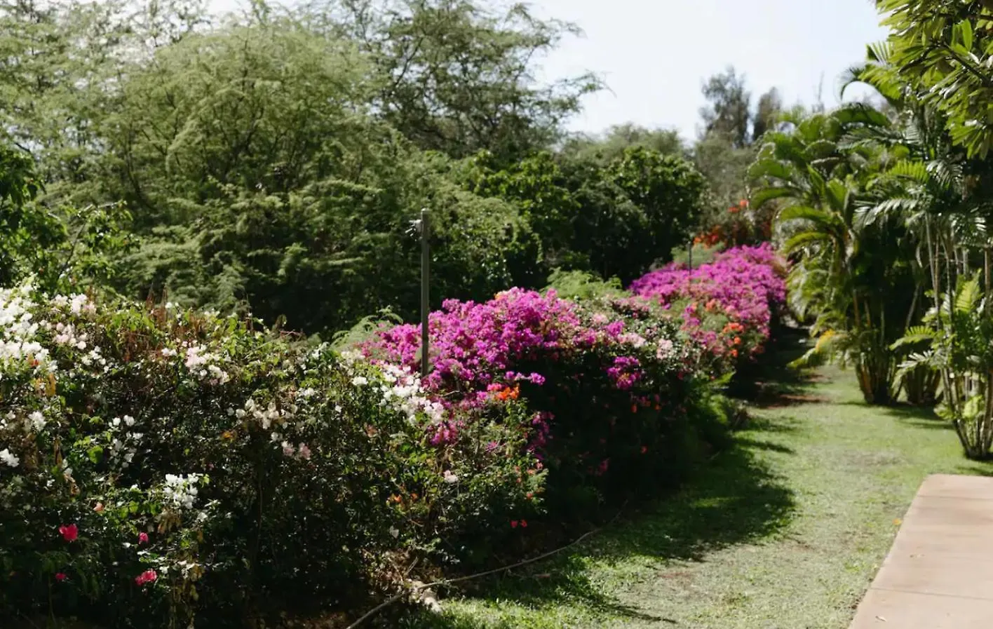 Aparthotel 10 Pick! Walk To Beach, Shops, Dining And Pool