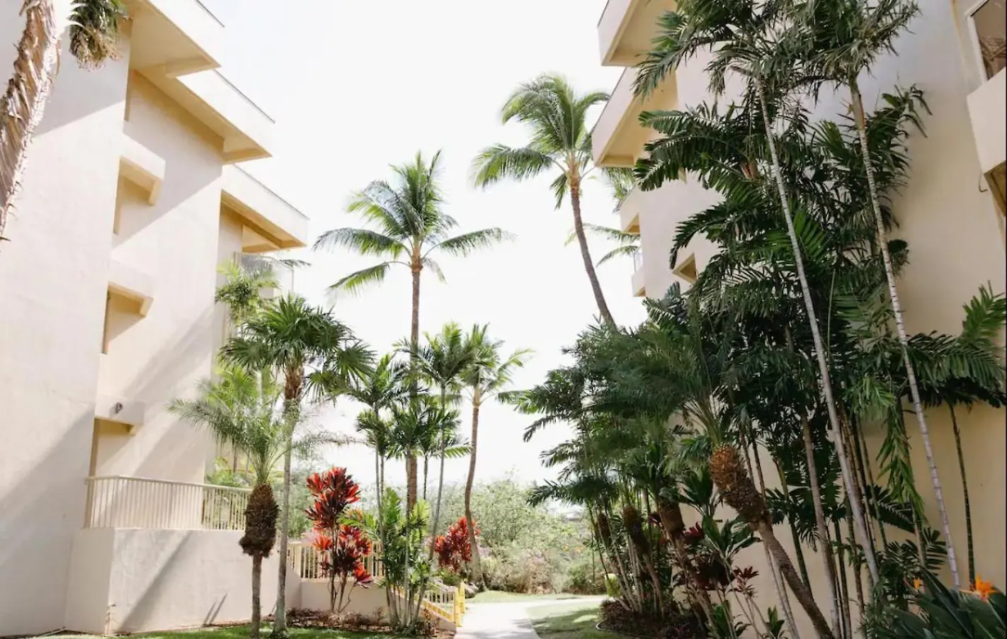 10 Pick! Walk To Beach, Shops, Dining And Pool