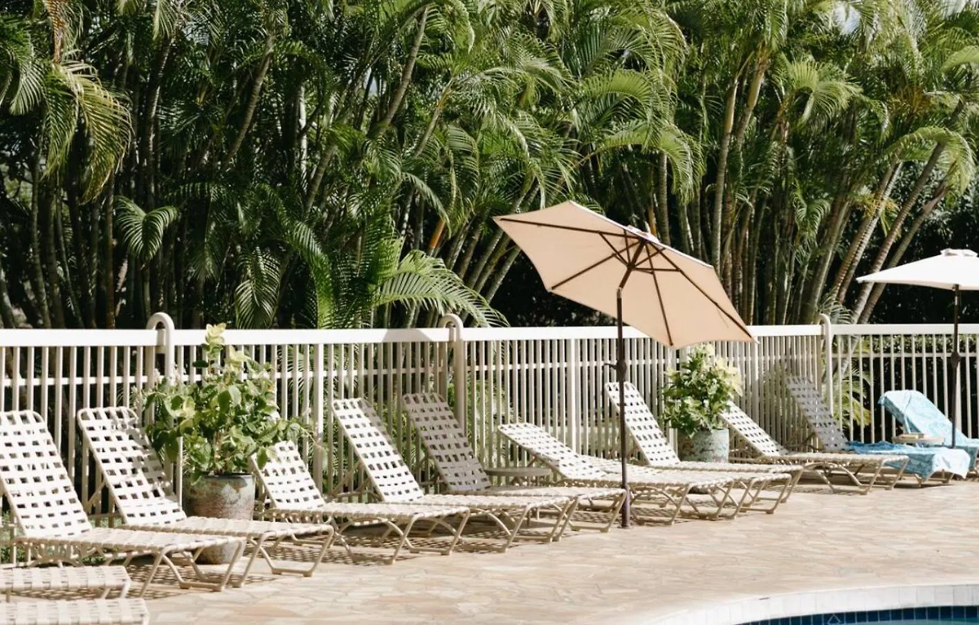 Aparthotel 10 Pick! Walk To Beach, Shops, Dining And Pool Wailea (Maui)