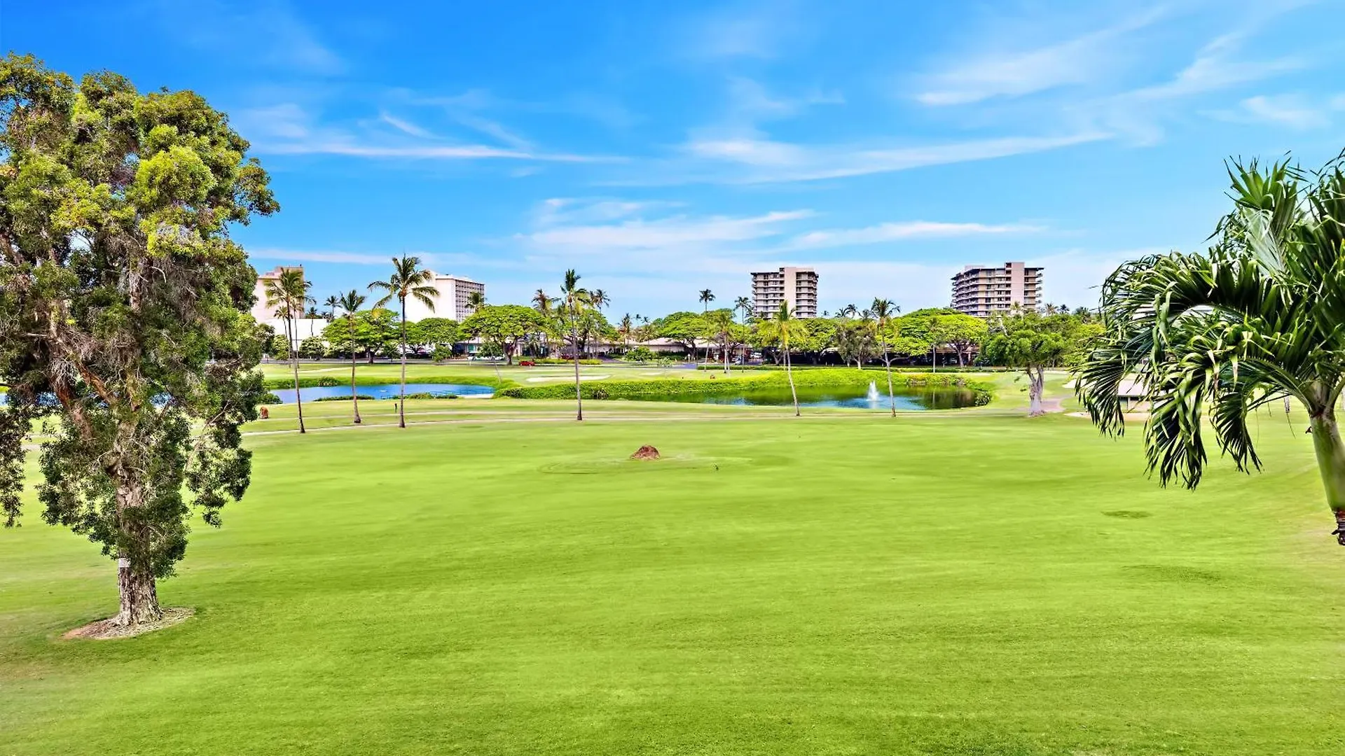 Kaanapali Royal D202 * Lahaina