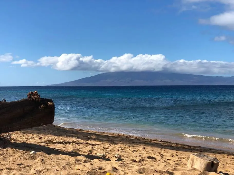 Paki Maui In Paradise - Ocean Side カハナ