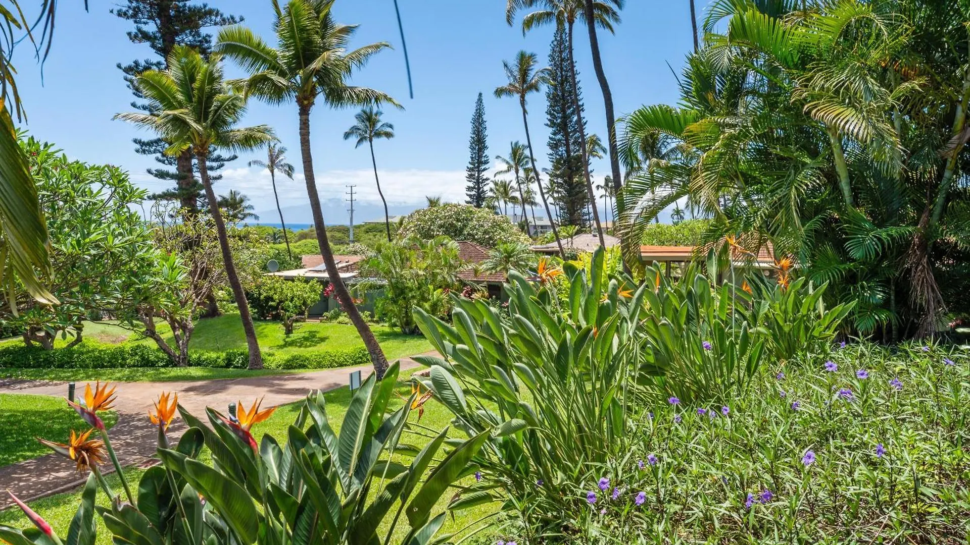 International Colony Club 23 Holiday home *