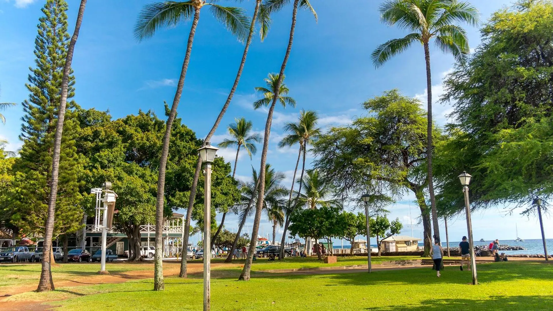 Paki Maui 222 Διαμέρισμα Napili-Honokowai