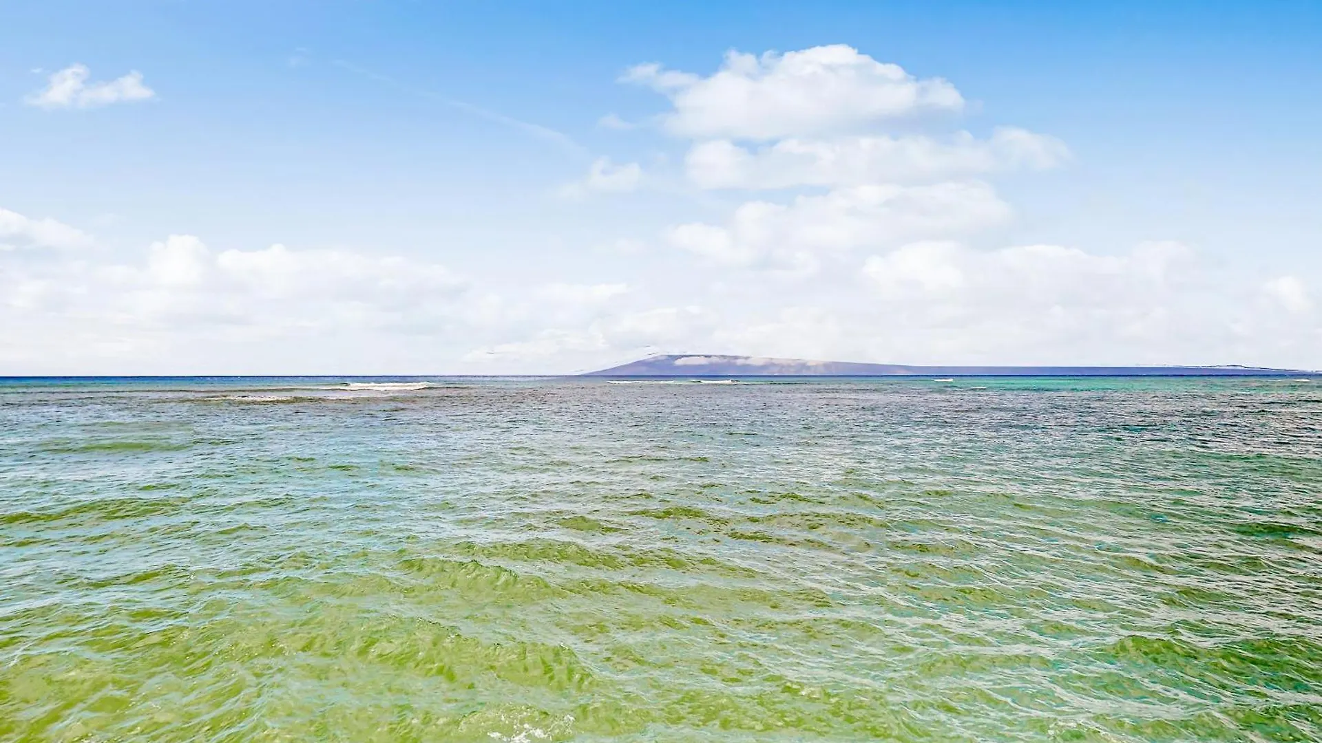 Reef 211 דירה Kahana