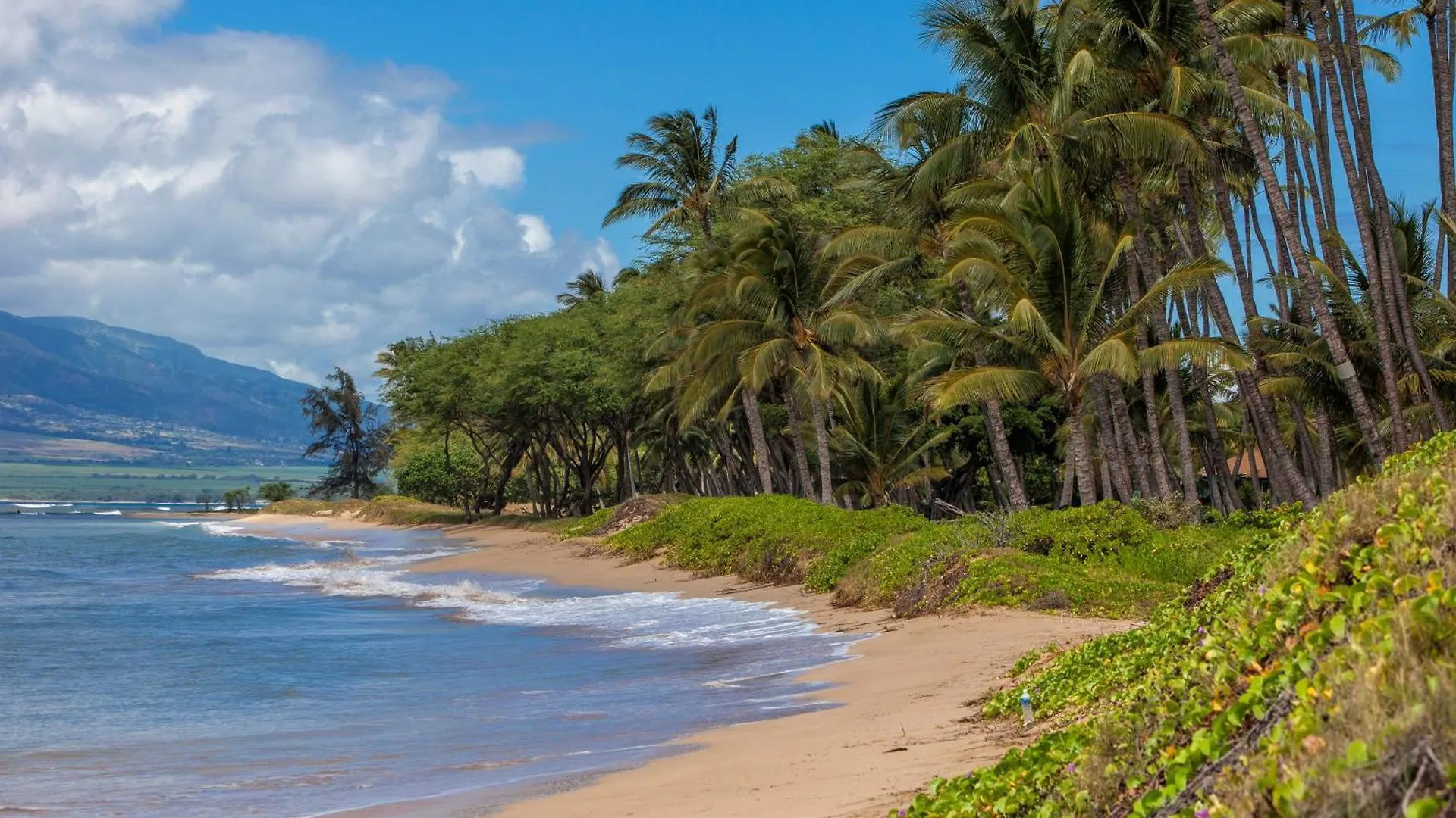 128b Casa vacanze Kihei