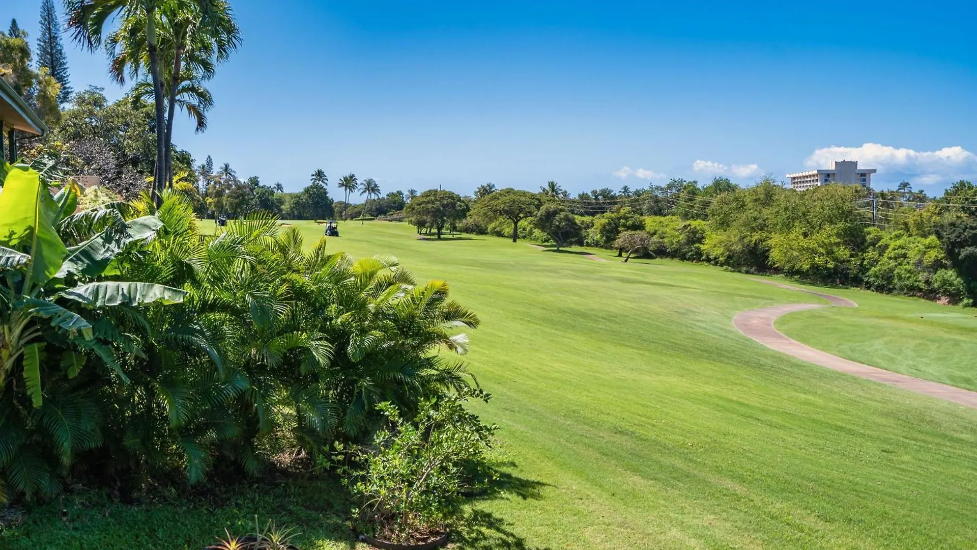 Kaanapali Hini New Pool - Fully Remodeled - Across The Street From Kaanapali Сasa de vacaciones *