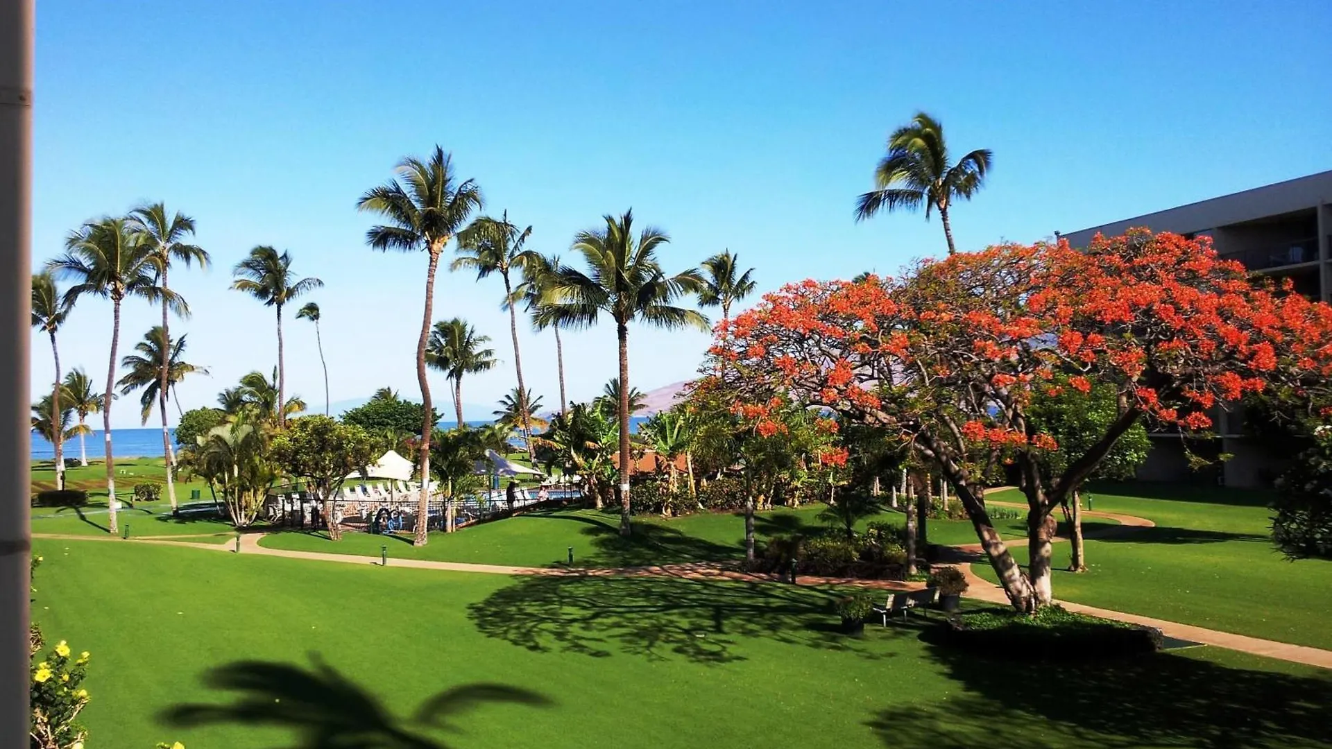 Maui Sunset B512 * 키헤이