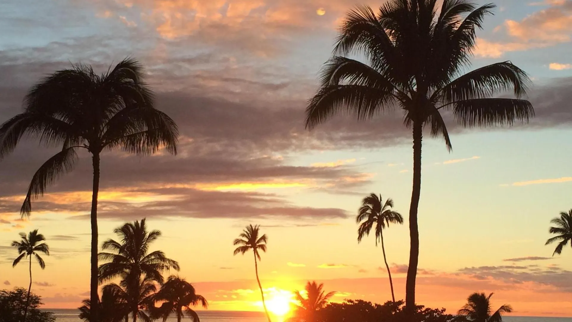 Maui Sunset A205 *