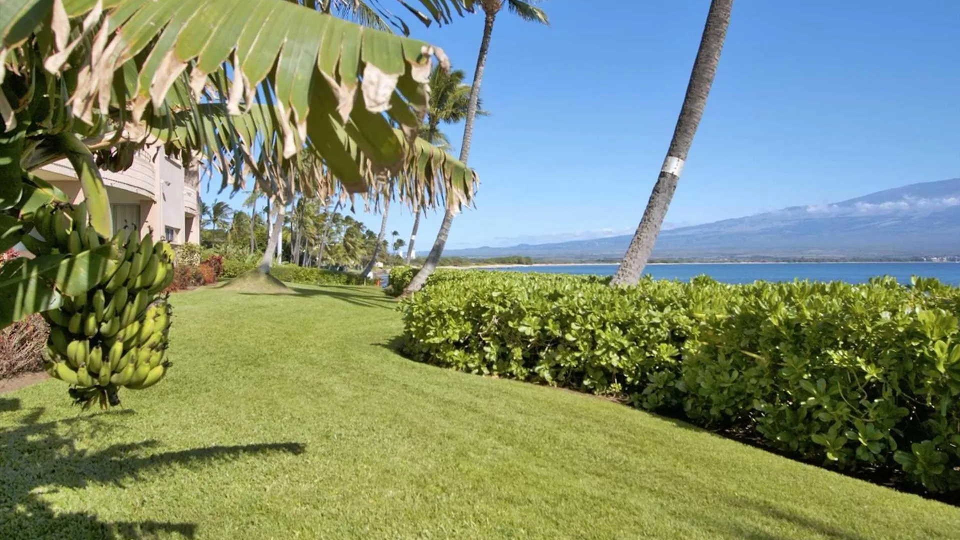 Island Sands 206 בית נופש Wailuku