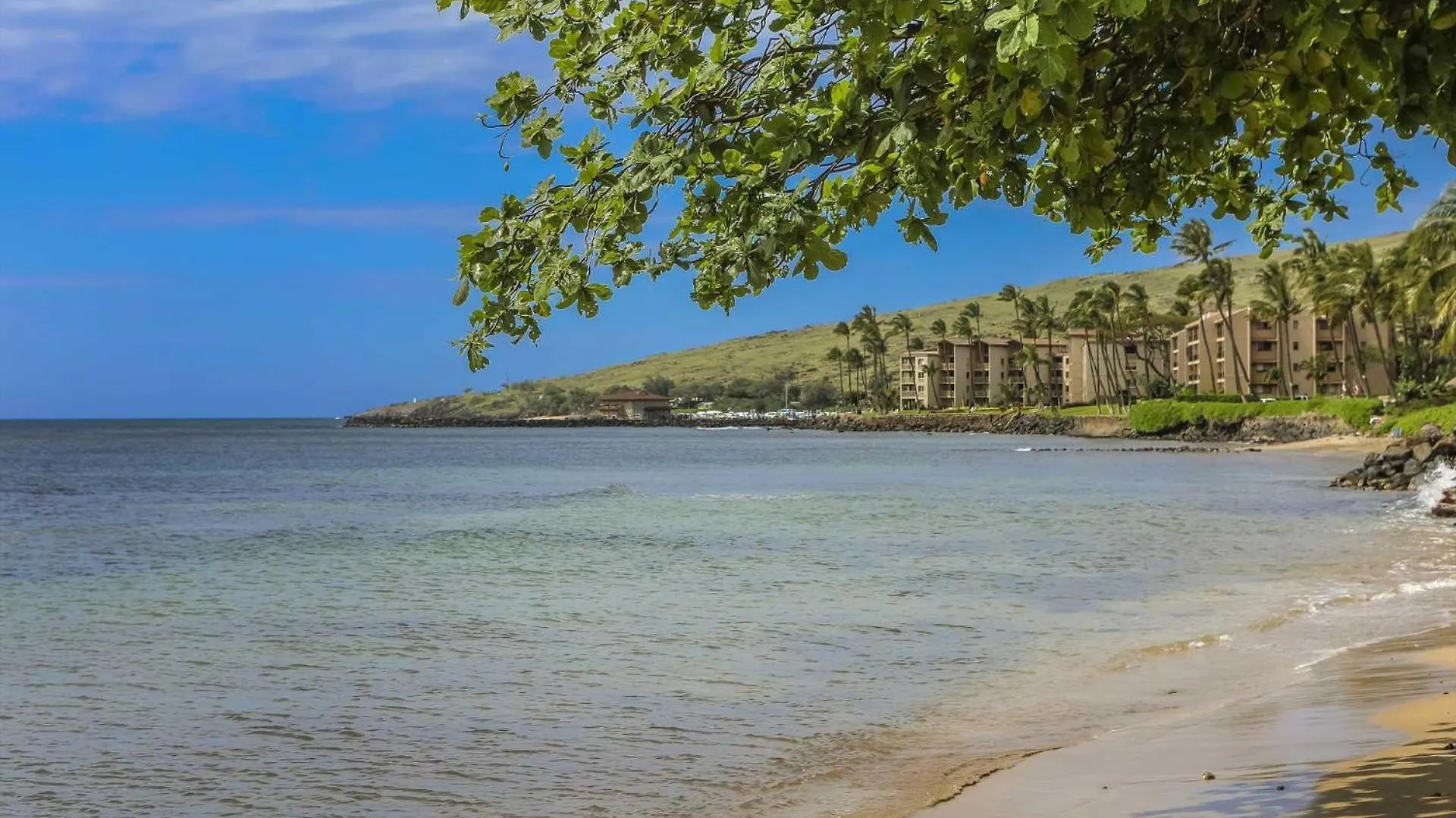 Island Sands 206 Wailuku
