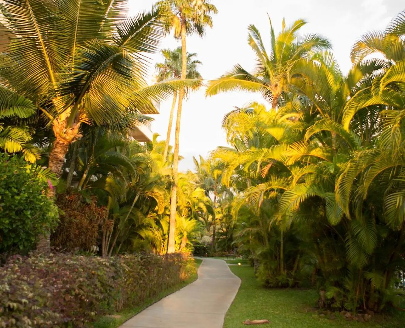 Maui Banyan- Your Away From On Maui! *