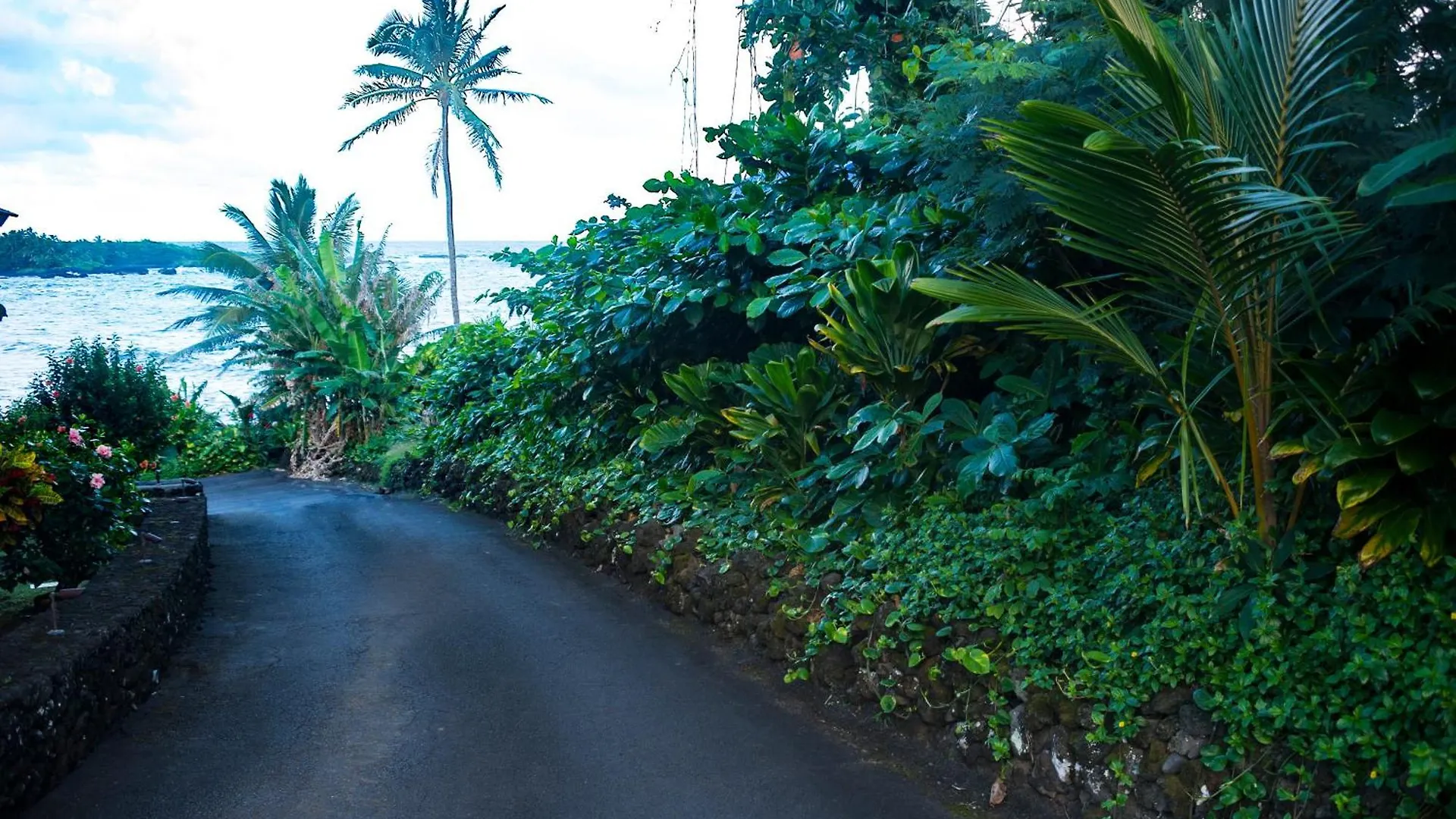 Kai Maui - #104 Haneoʻo