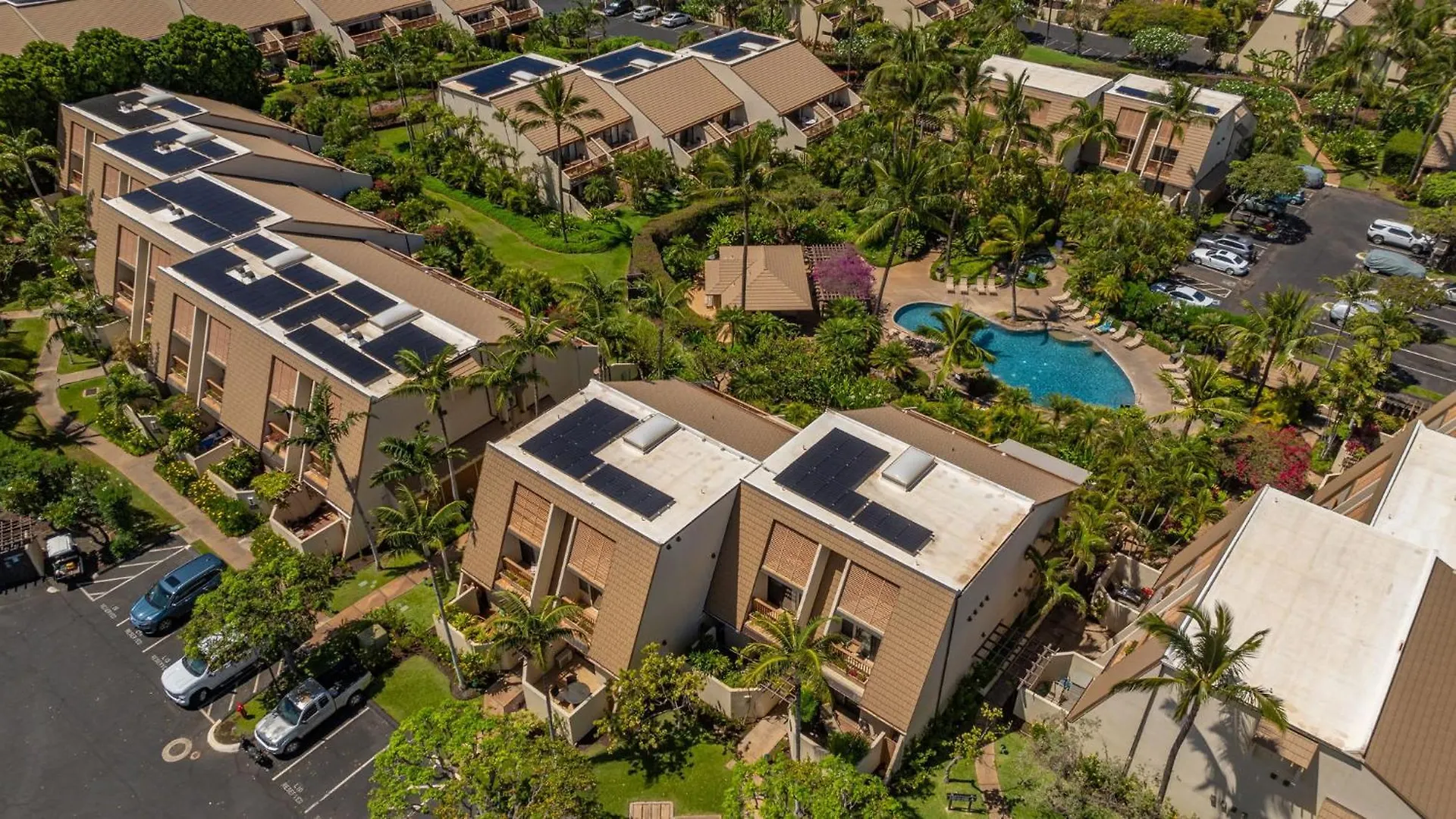 New Tropical Paradise 1bed 2bath Oasis At The Pool דירה *