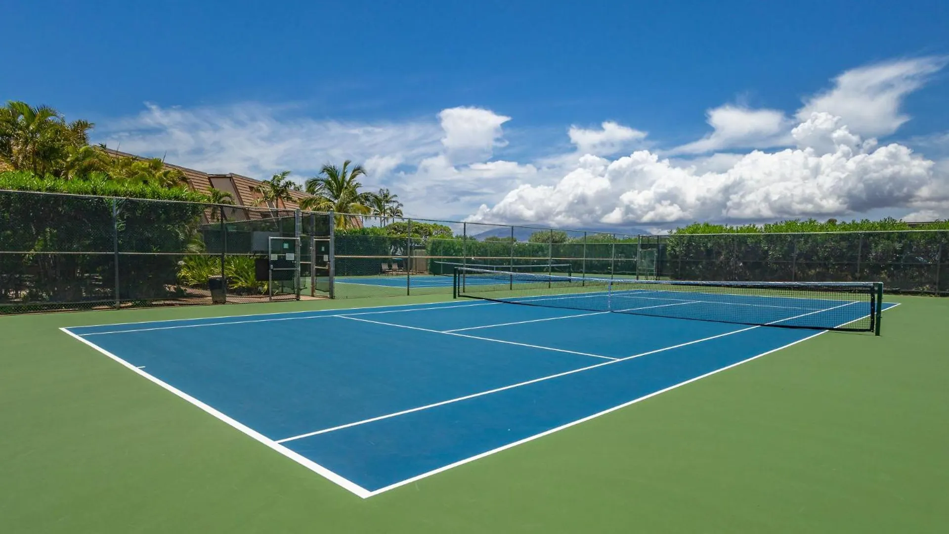 דירה New Tropical Paradise 1bed 2bath Oasis At The Pool *