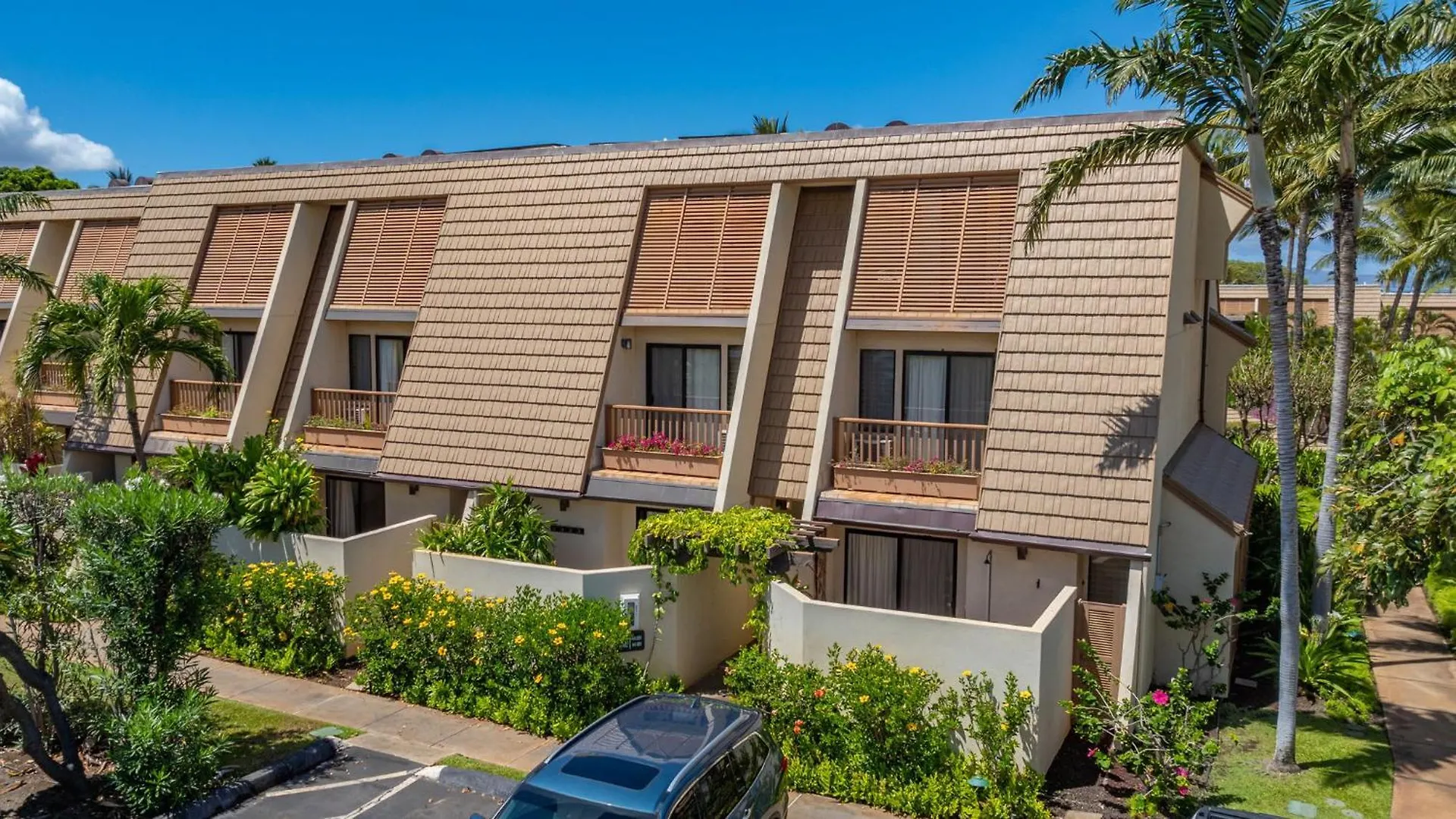 New Tropical Paradise 1bed 2bath Oasis At The Pool דירה ויילי
