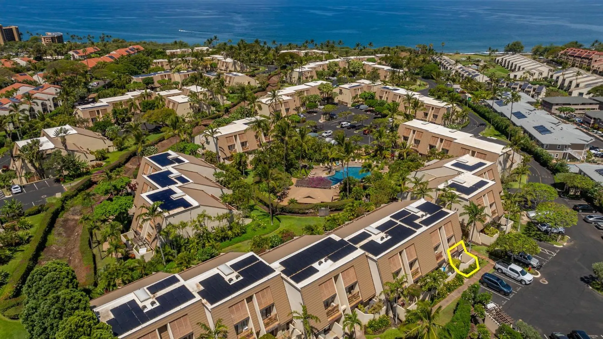 New Tropical Paradise 1bed 2bath Oasis At The Pool ויילי