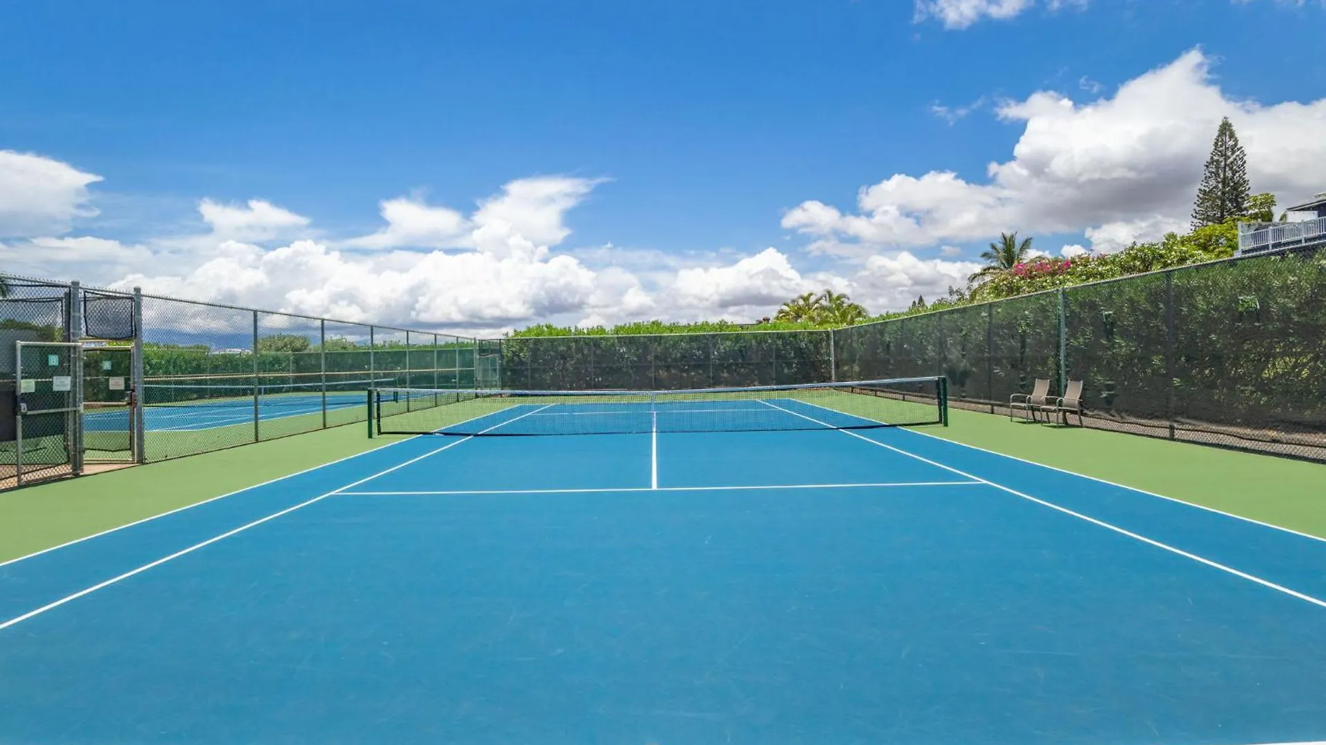 New Tropical Paradise 1bed 2bath Oasis At The Pool דירה ויילי