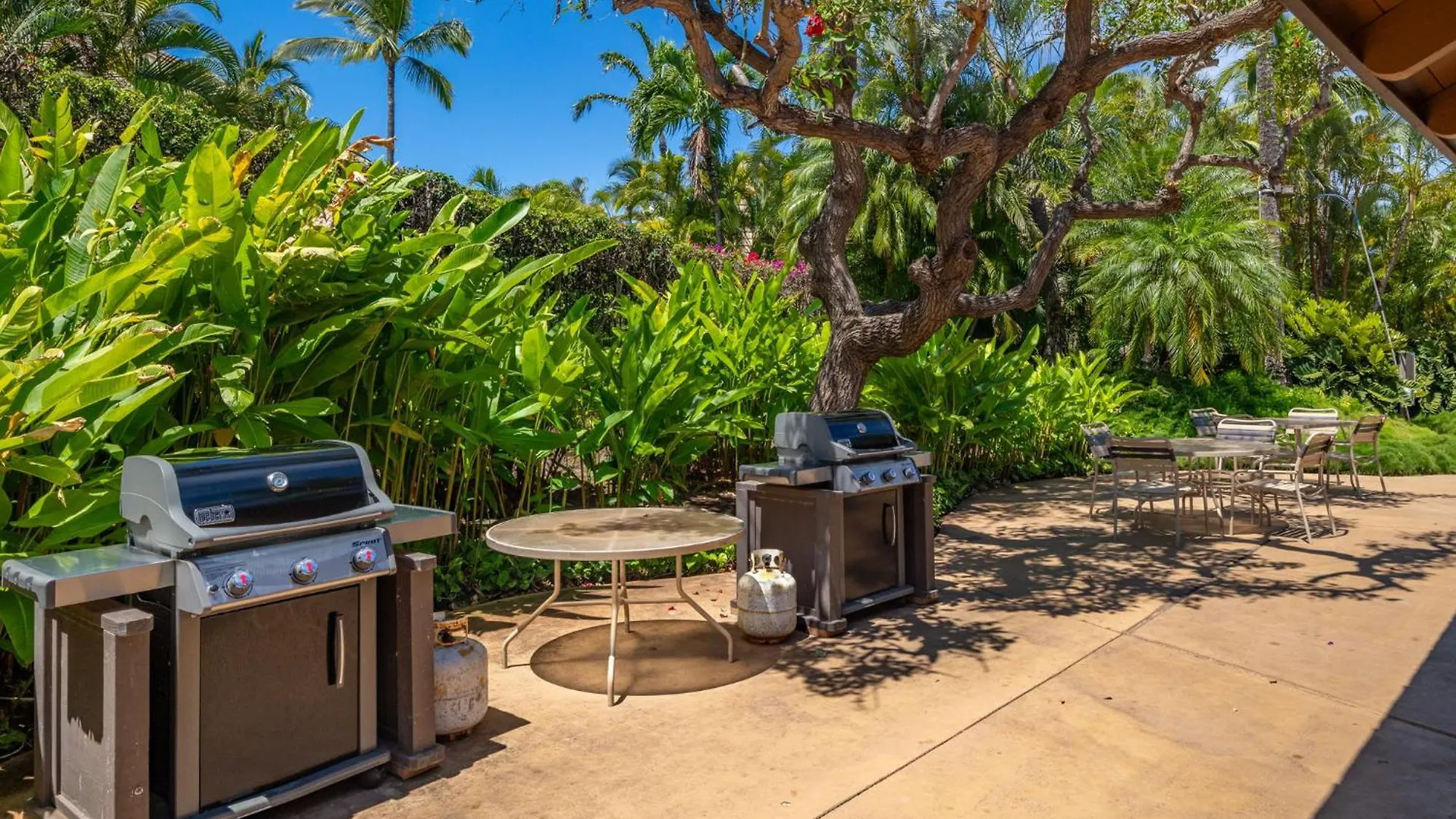 New Tropical Paradise 1bed 2bath Oasis At The Pool ויילי