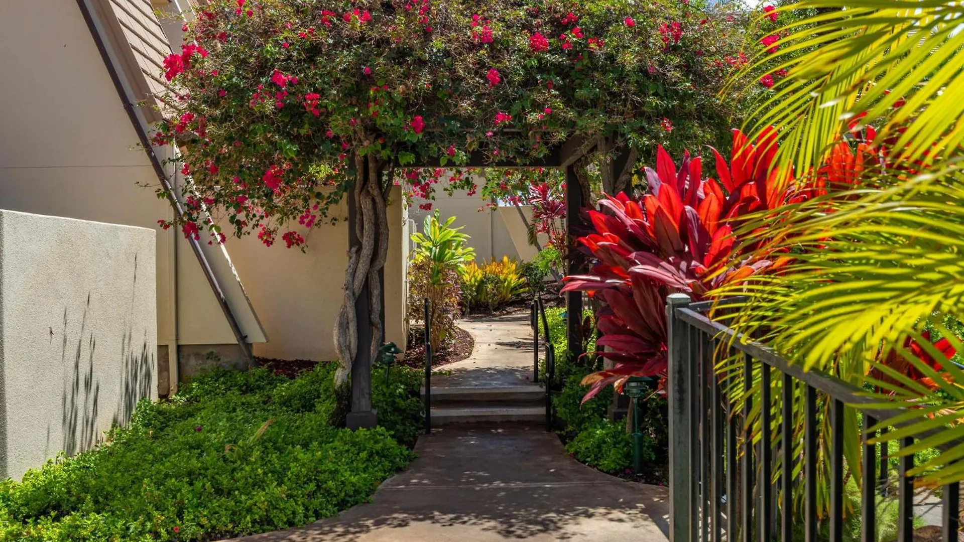 דירה New Tropical Paradise 1bed 2bath Oasis At The Pool *