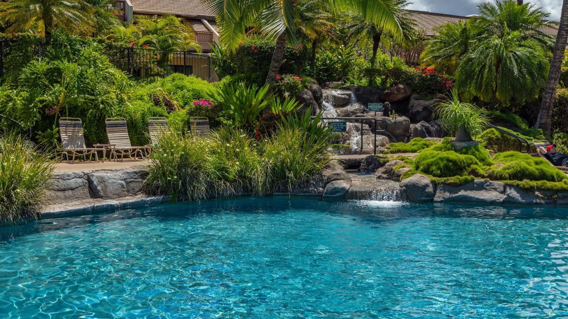New Tropical Paradise 1bed 2bath Oasis At The Pool דירה