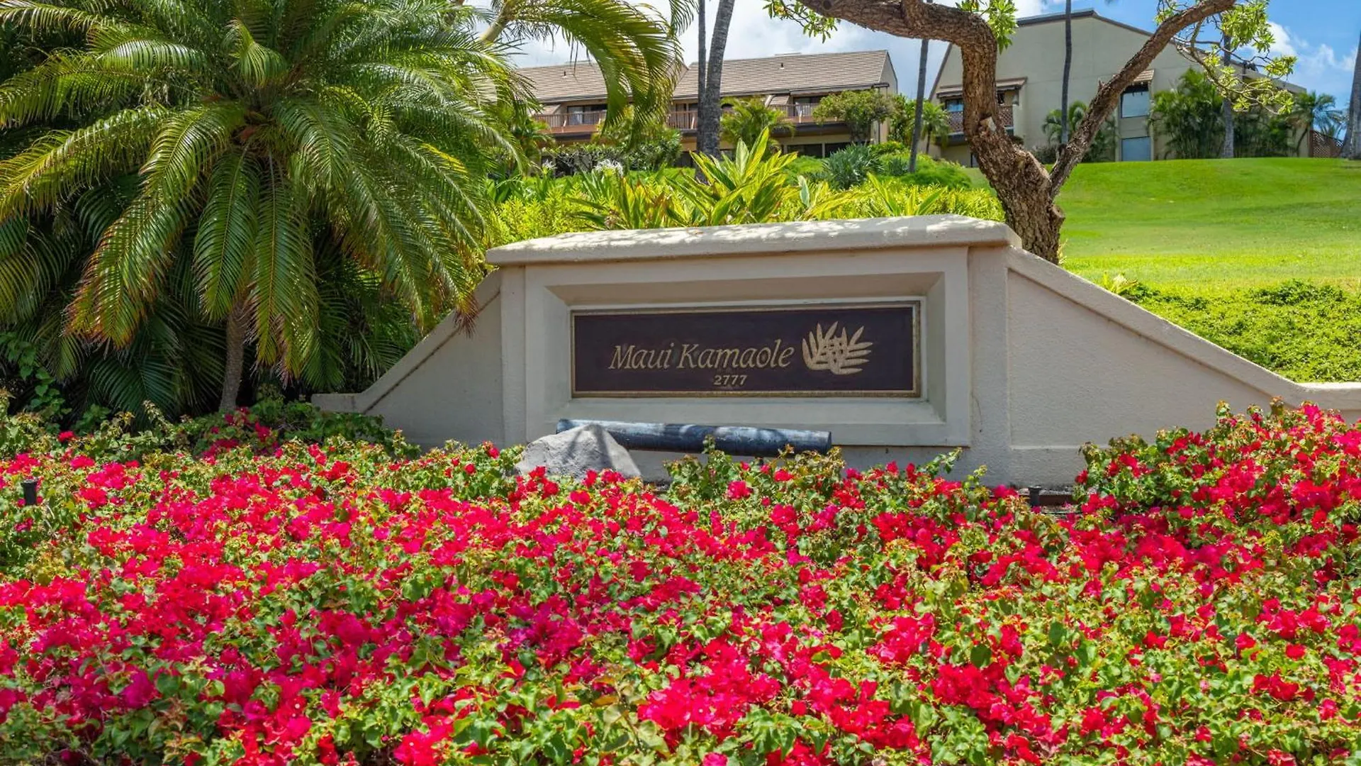 דירה New Tropical Paradise 1bed 2bath Oasis At The Pool *