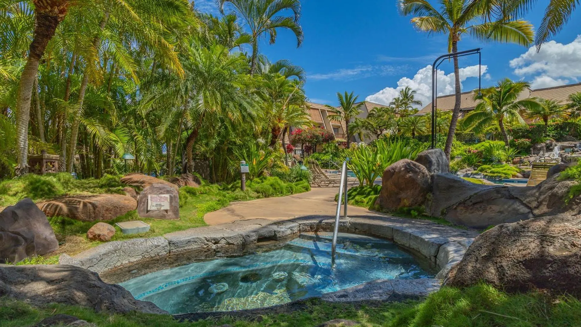 New Tropical Paradise 1bed 2bath Oasis At The Pool דירה ויילי