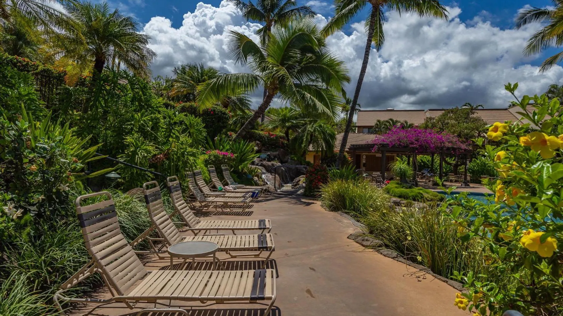 דירה New Tropical Paradise 1bed 2bath Oasis At The Pool *