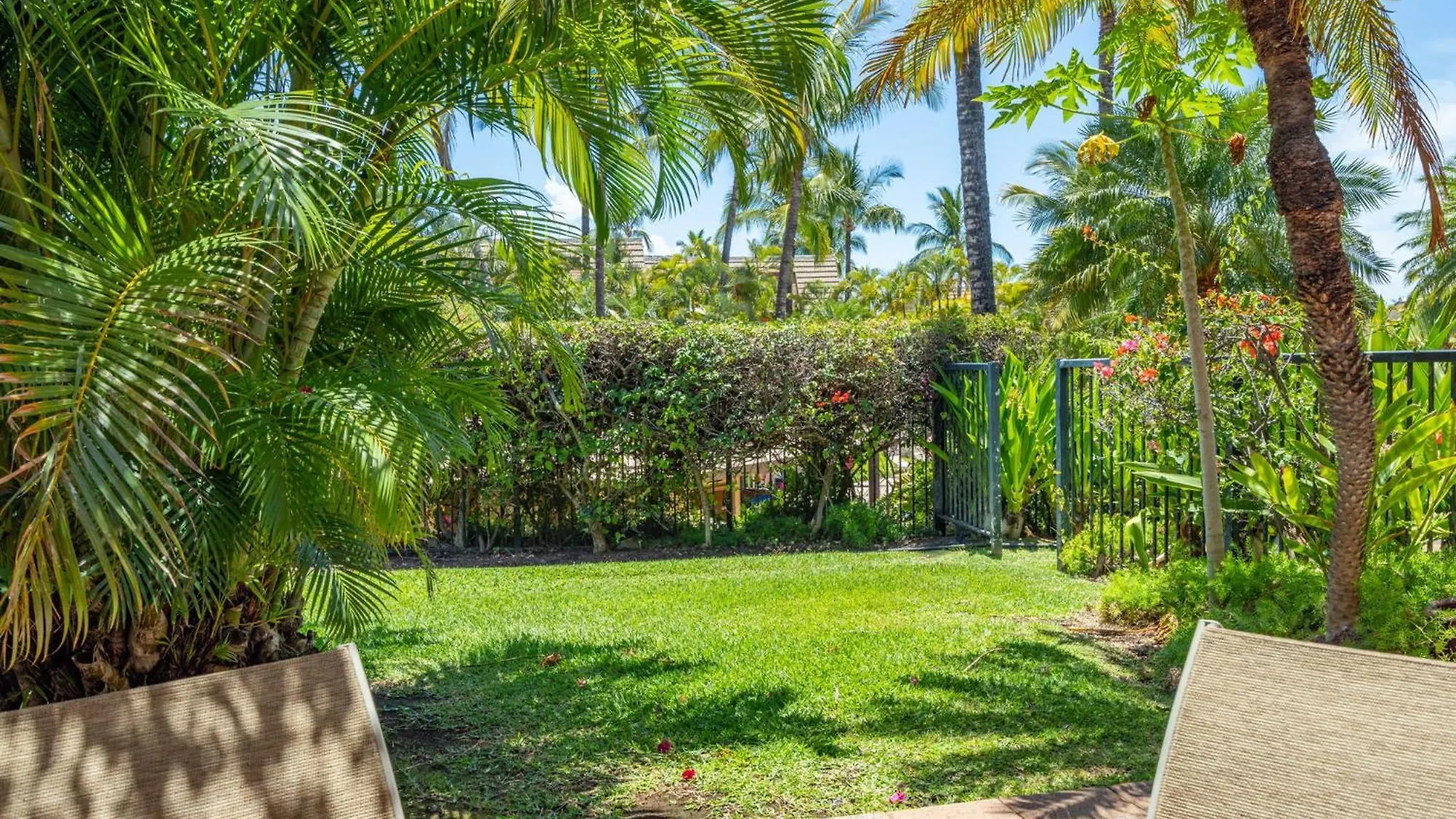 דירה New Tropical Paradise 1bed 2bath Oasis At The Pool *