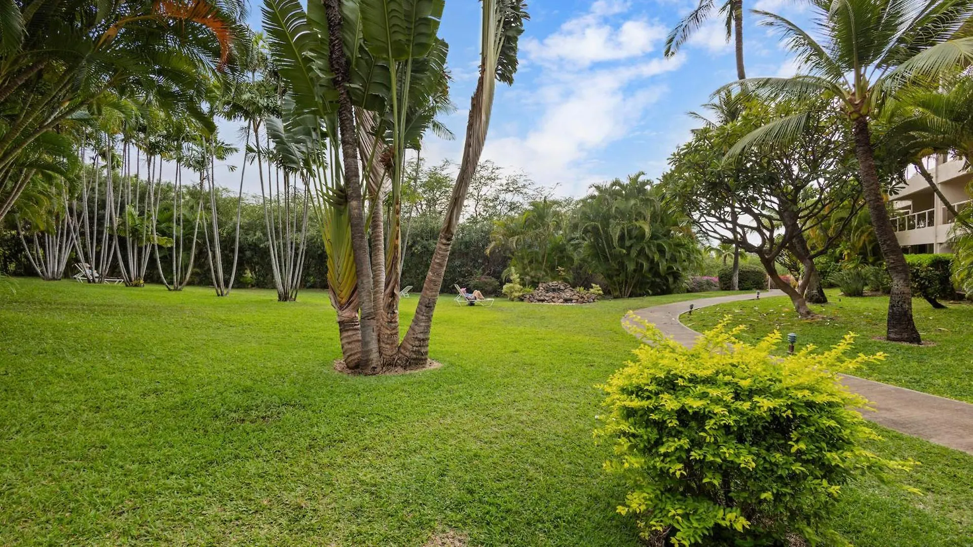 Tropical Serenity - Spacious Beautiful Maui * Wailea (Maui)