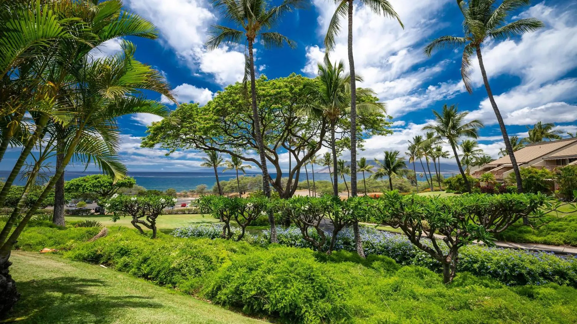 Maui Kamaole A110 * Wailea (Maui)
