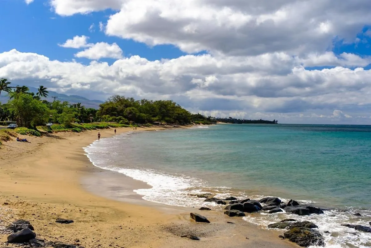Beachfront Condo—3 Bedrooms—fully Renovated Holiday home *