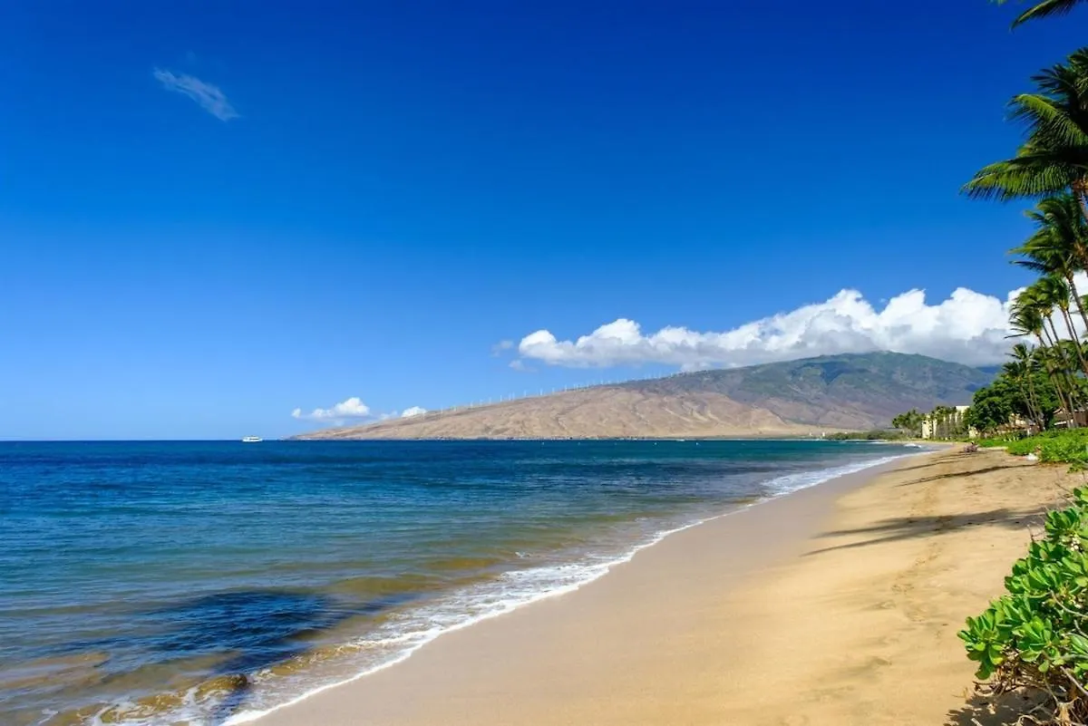 Holiday home Beachfront Condo—3 Bedrooms—fully Renovated *