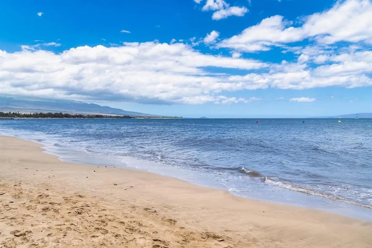 Beachfront Condo—3 Bedrooms—fully Renovated Holiday home Kihei