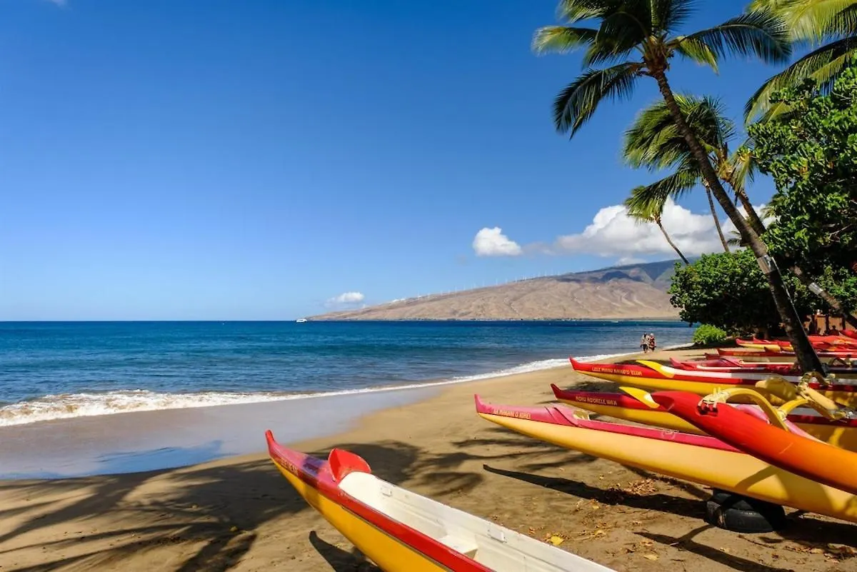 Holiday home Beachfront Condo—3 Bedrooms—fully Renovated *