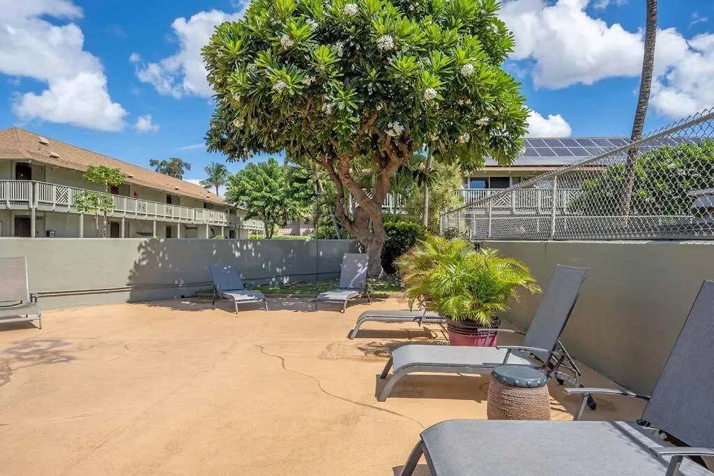 Bay Surf 140 - Remodeled Ground Floor Gem Across From