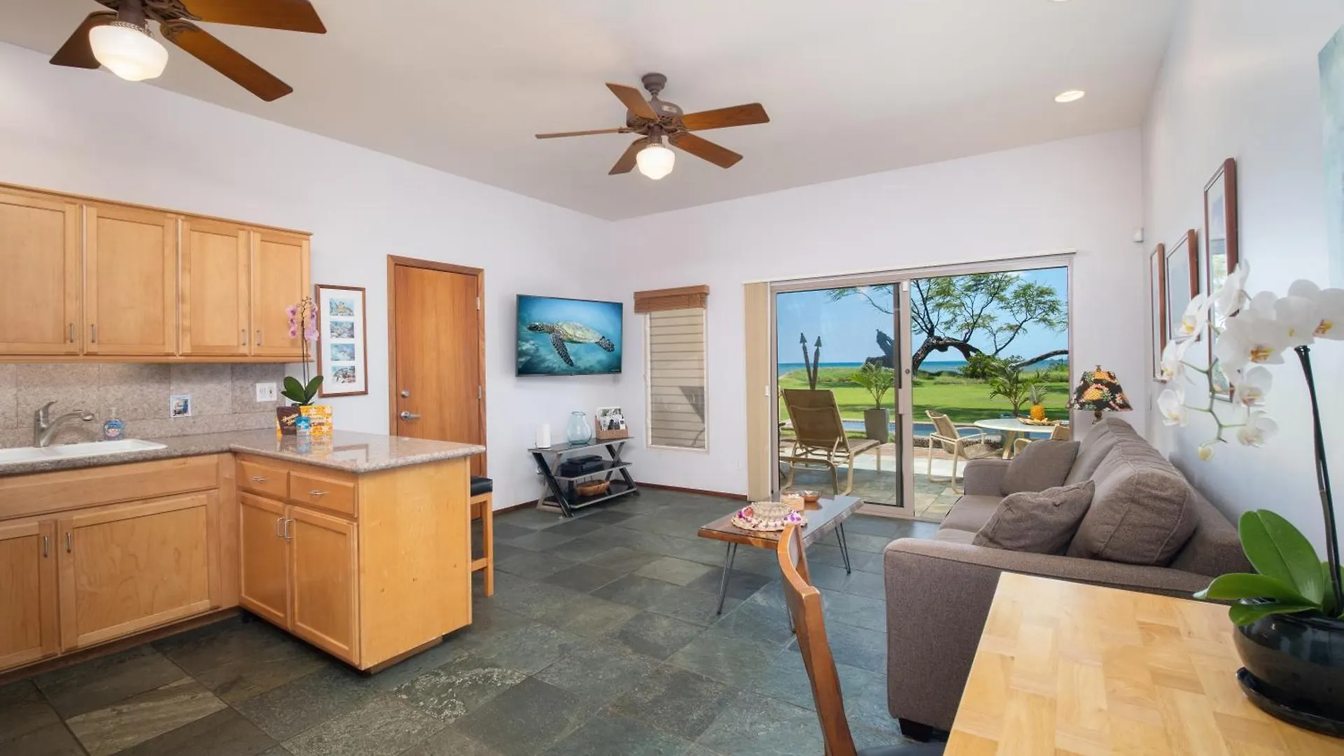 Aloha Aku Honu - Experience The Spirit Of Aloha * Kihei