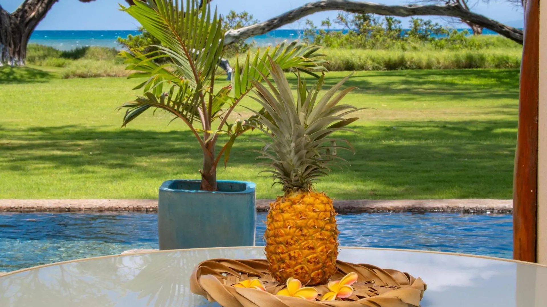 Aloha Aku Honu - Experience The Spirit Of Aloha *