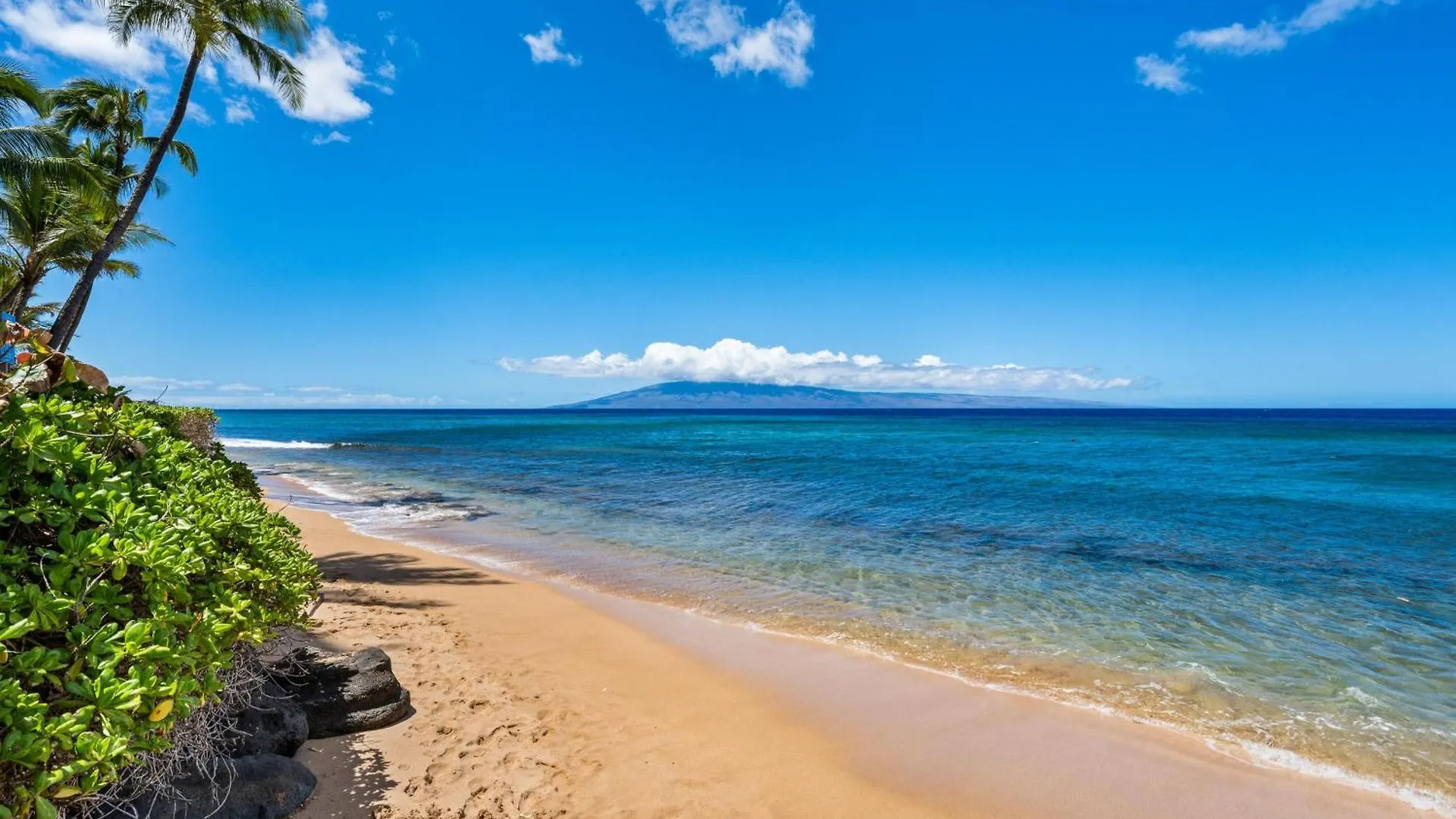 Maui Kai 808