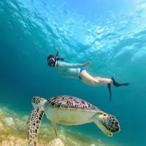 Роскошный шатер Explore Maui's Diverse And Uncover The Island's Beauty From Fresh Perspectives Every Day As You Journey With Aloha Glamp's Great Jeep Equipped With A Rooftop Tent Паиа