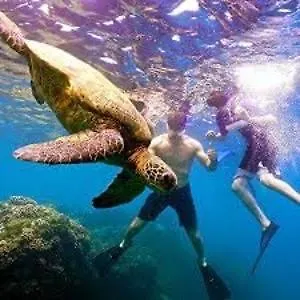 Explore Maui's Diverse And Uncover The Island's Beauty From Fresh Perspectives Every Day As You Journey With Aloha Glamp's Great Jeep Equipped With A Rooftop Tent Роскошный шатер Паиа
