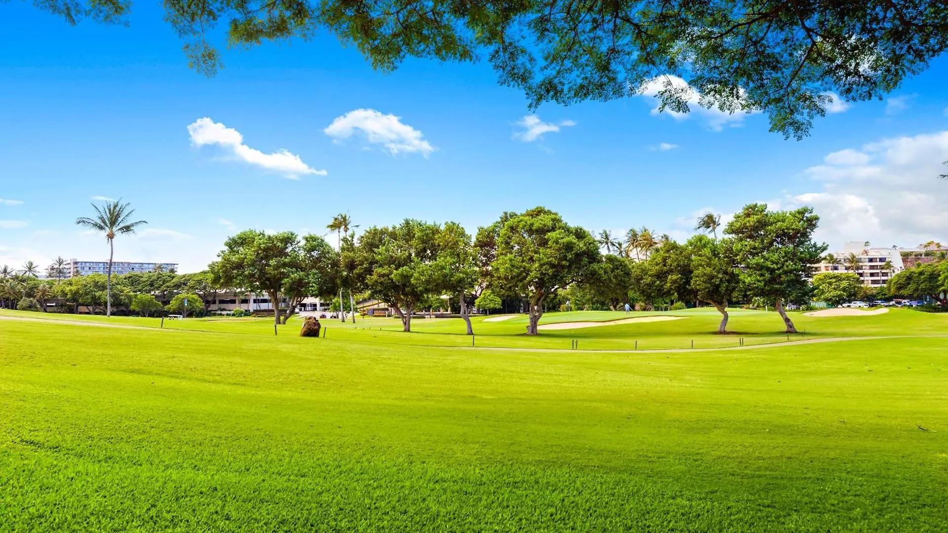 Newest Unit - California Meets Maui 1 Bedroom Golfcourse View H105 *