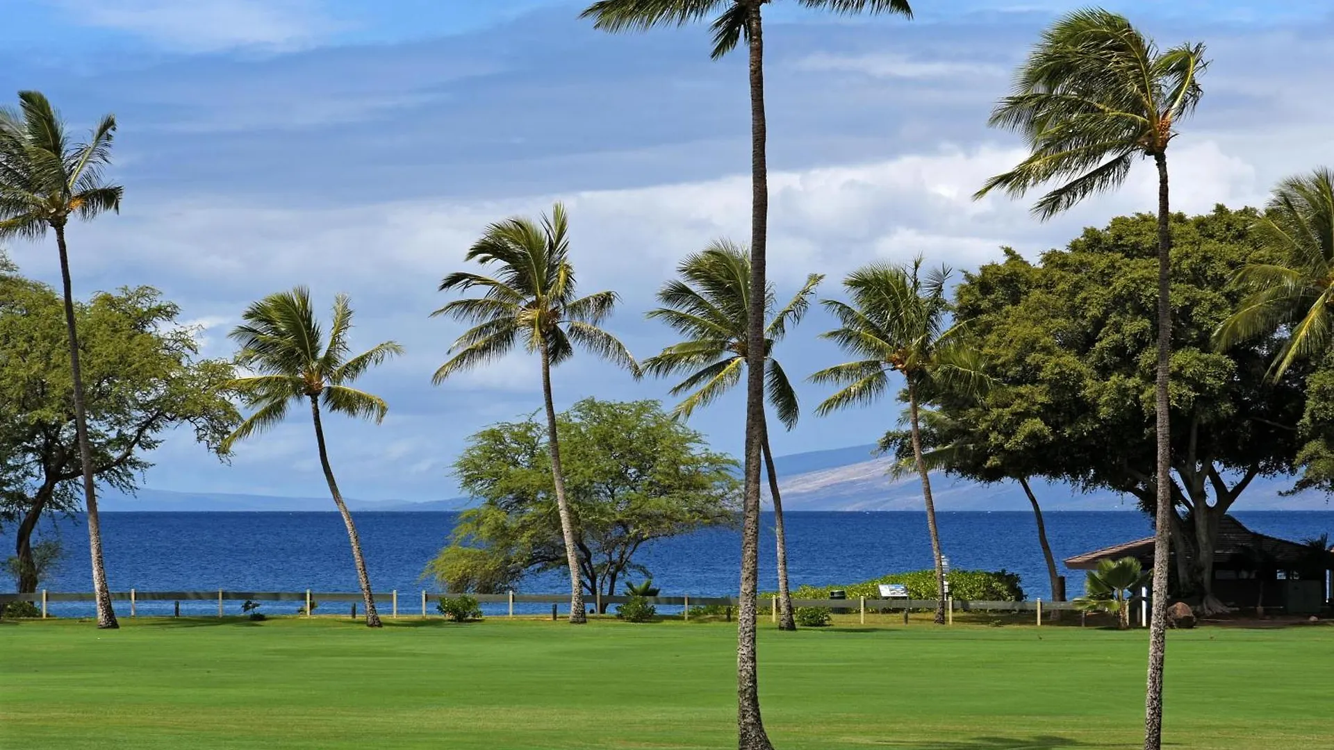 Maui Eldorado J206 *