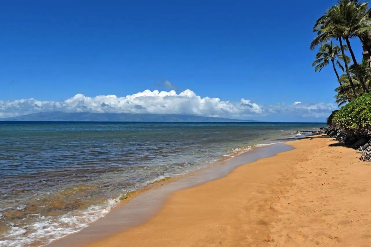 Ocean Front Gorgeous Views Kahana
