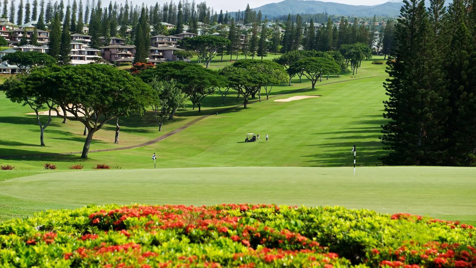 Kapalua Ridge 2321