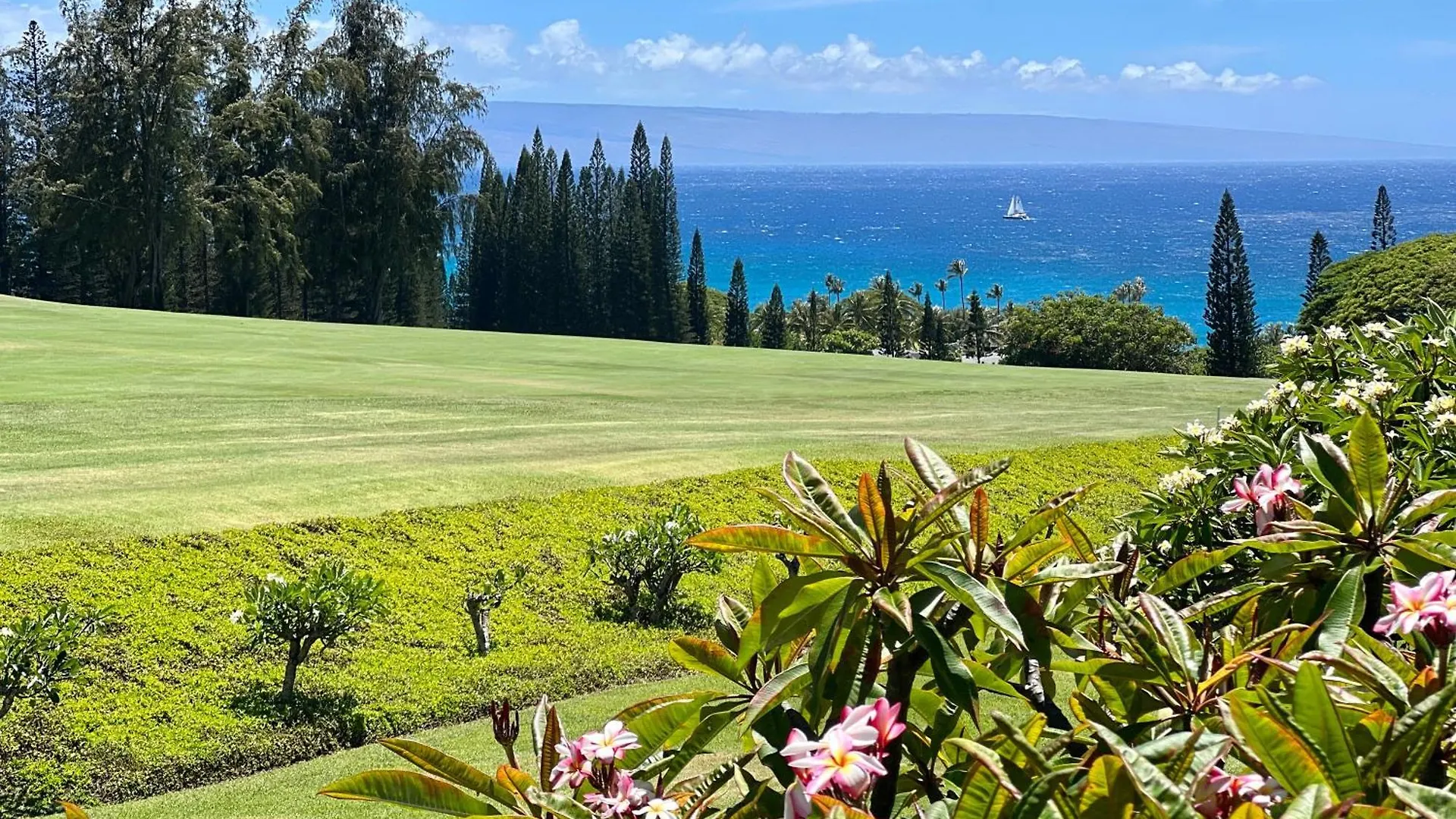 Kapalua Ridge 2321 Apartman Kahana