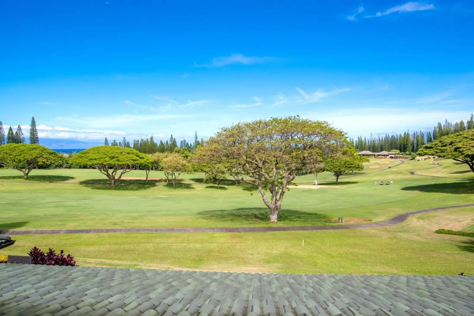 Daire Kbm Resorts Free Car Kapalua Golf Villa Ocean View 1-Bedroom Condo Recently Remodeled Kgv-16T4