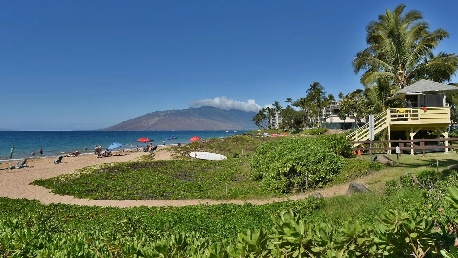 Kihei Akahi C302