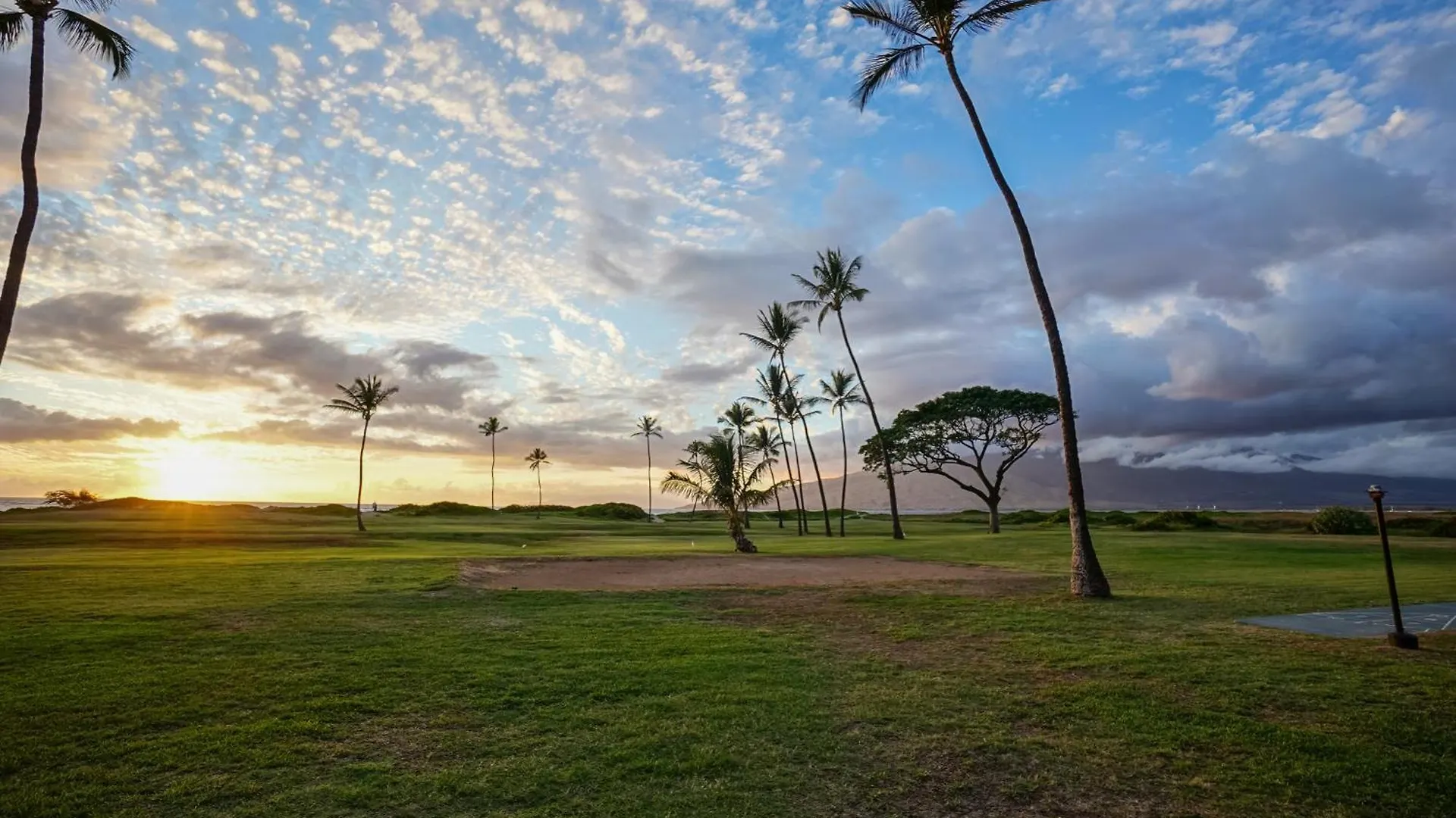 Sunet Palms S Cozy Escape *